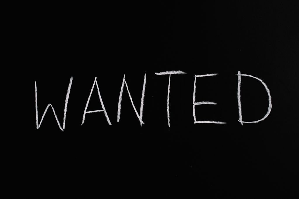 Black chalkboard with 'Wanted' written in white chalk, ideal for hiring or job concept visuals.